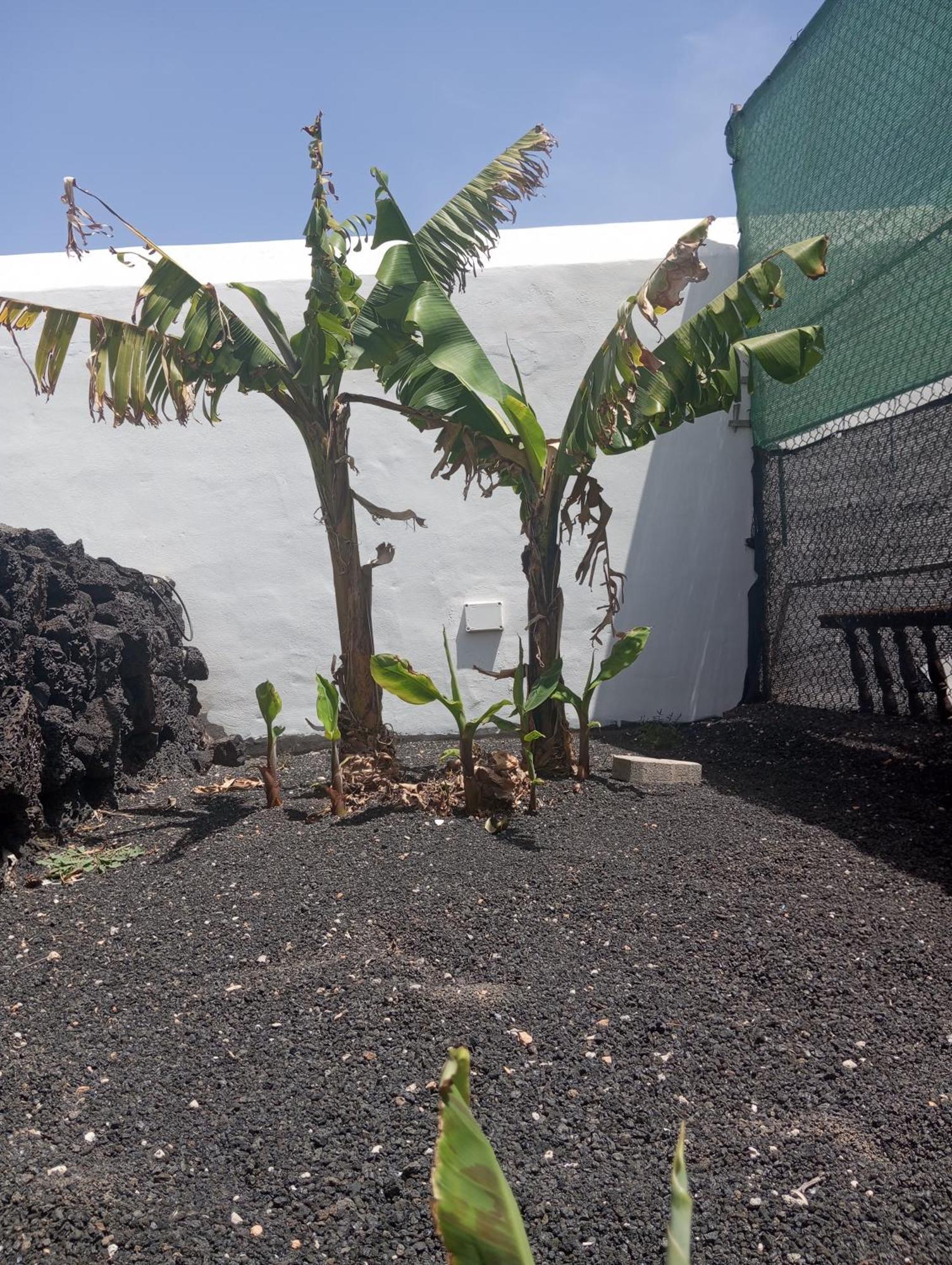 Casa Siempreviva Vila Teguise  Exterior foto